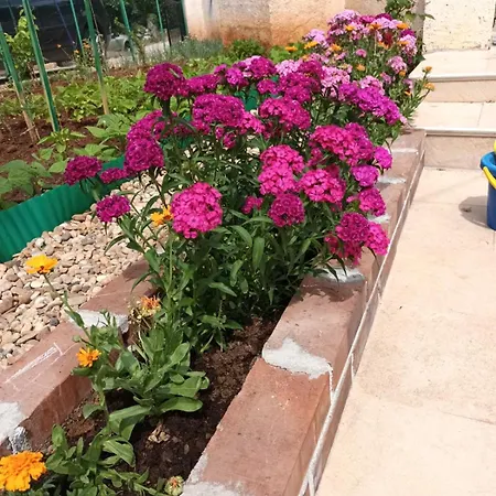 Villa Kuca Za Odmor Mumi *